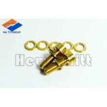 golden Gr5 titanium bolt with washer